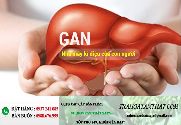 bệnh lý về gan