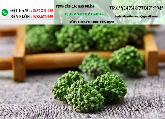 Hoa tam thất giá trị tuyệt vời