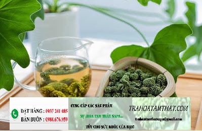 uống tam thất vào lúc nào là tốt nhất