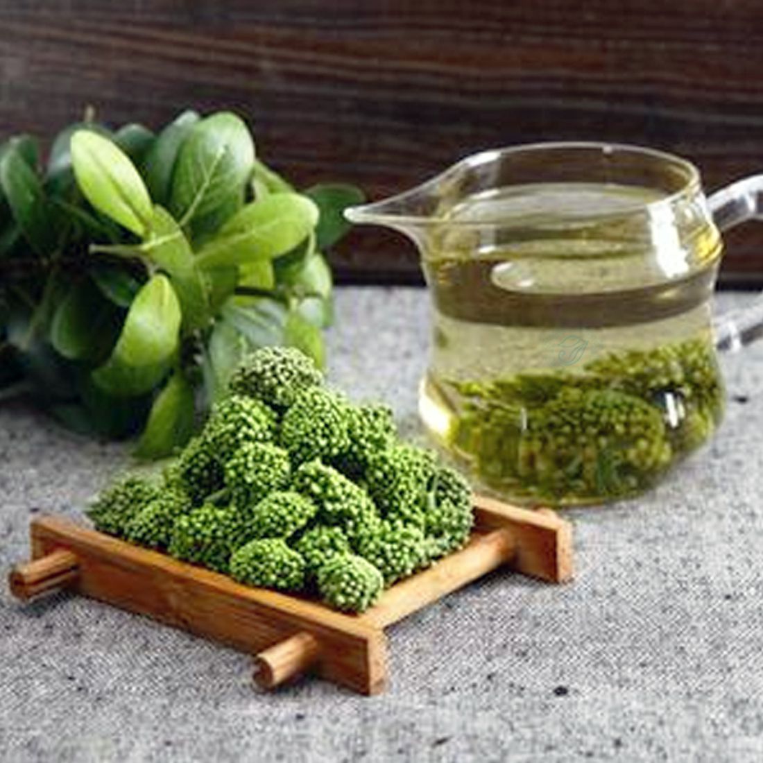Đặc điểm và công dụng của nụ tam thất không phải ai cũng biết